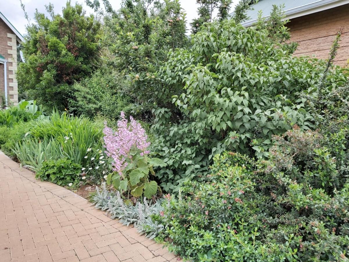 Clarens Mountain Sage Holiday House Eksteriør bilde